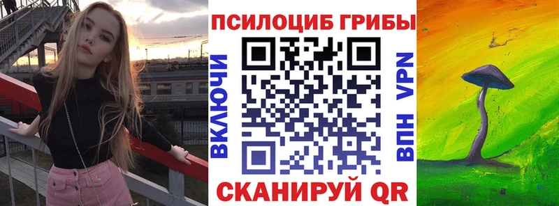 Галлюциногенные грибы Psilocybine cubensis сайты даркнета формула Нефтеюганск